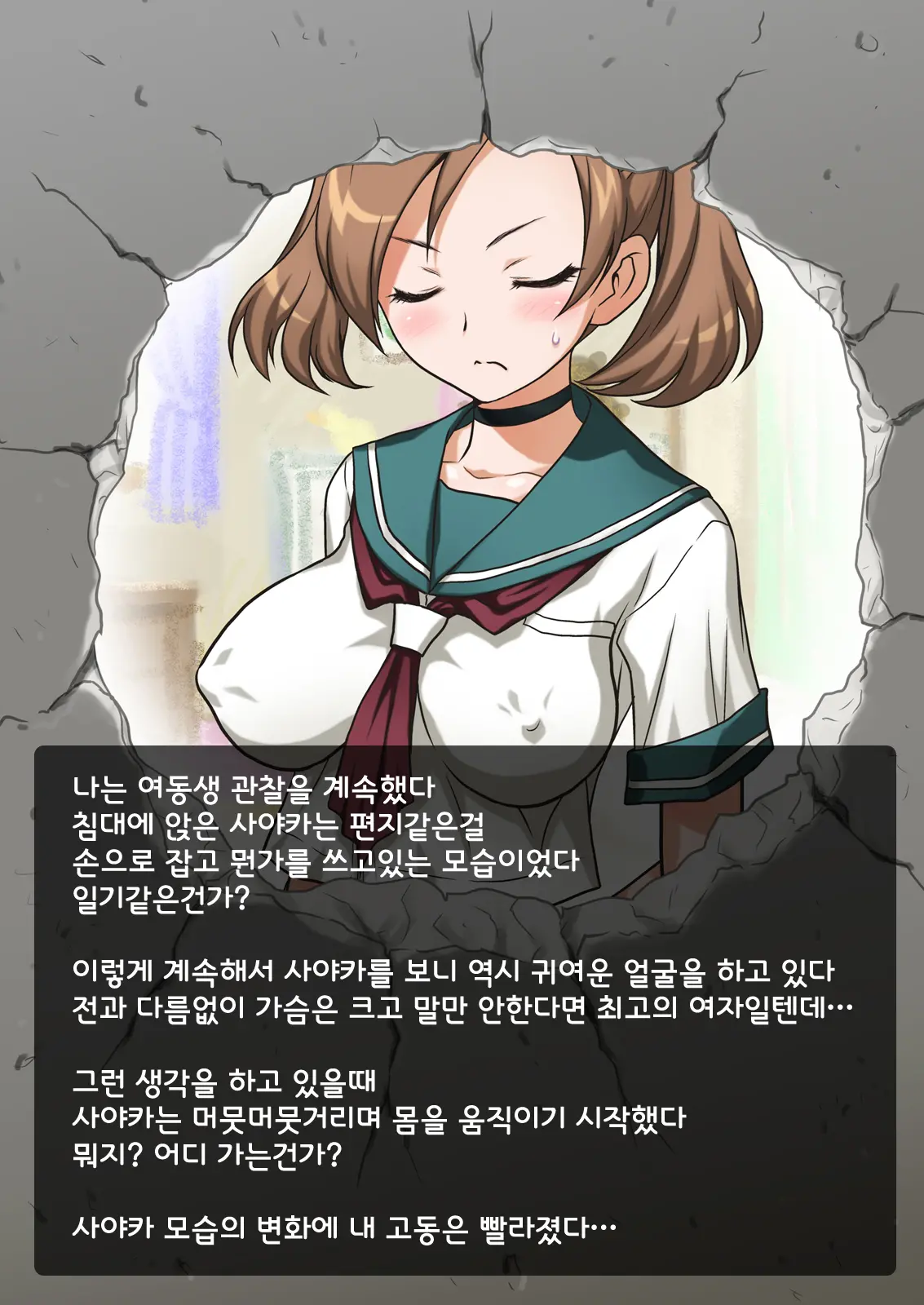 Imouto Wa Nama Onaho ~Sayaka Wa Onii-Chan Senyou Sei Gangu~